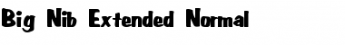 Big Nib-Extended Normal Font
