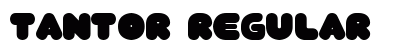 TANTOR Regular Font Preview TANTOR Regular Font Preview