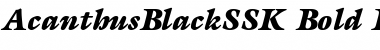 AcanthusBlackSSK Bold Italic Font