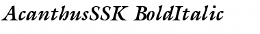 AcanthusSSK BoldItalic Font