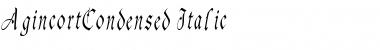 AgincortCondensed Italic