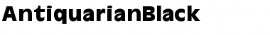 Download AntiquarianBlack Font
