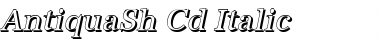 AntiquaSh-Cd Italic