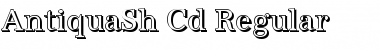 Download AntiquaSh-Cd Font