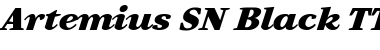 Artemius SN Black TT Regular Italic