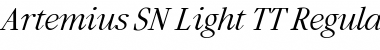 Artemius SN Light TT Regular Italic