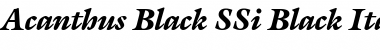 Acanthus Black SSi Font