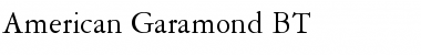 AmeriGarmnd BT Roman Font