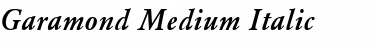 Garamond Bold Italic Font