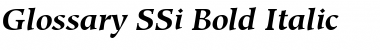 Glossary SSi Bold Italic Font