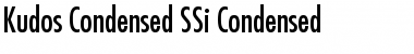 Kudos Condensed SSi Condensed Font