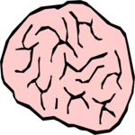 Brain 6