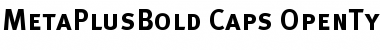 MetaPlusBold- Font